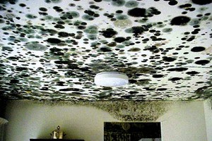 Water Damage Repair Cleveland, OH