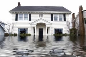 Signs Of Water Damage And What To Do If You Find It